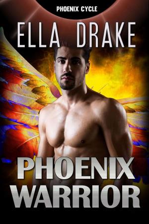 Book cover of The Phoenix Warrior