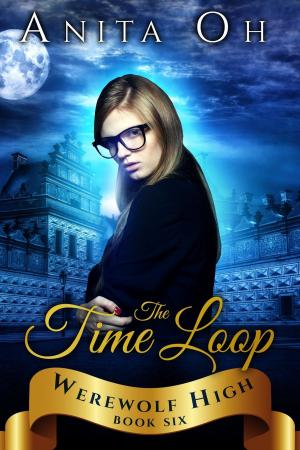 Cover of The Time Loop