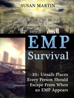 Book cover of Emp Survival: 10 + Unsafe Places Every Person Should Escape When Emp Appears
