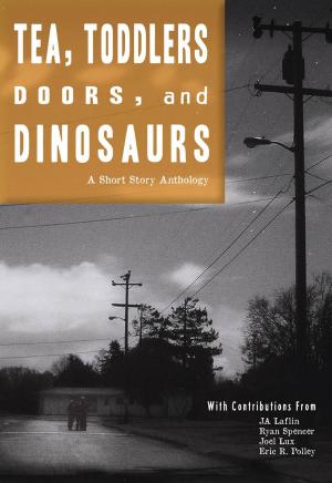 Book cover of Tea, Toddlers, Doors, and Dinosaurs: A Short Story Anthology
