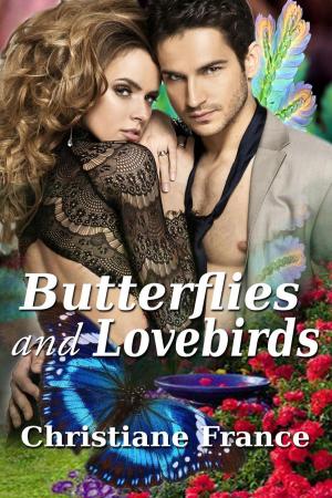 Cover of the book Butterflies And Lovebirds by Jennifer Skully, Jasmine Haynes