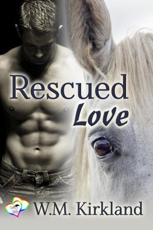 Cover of the book Rescued Love by Nicole MacDonald