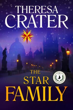 Cover of the book The Star Family by theresa saayman