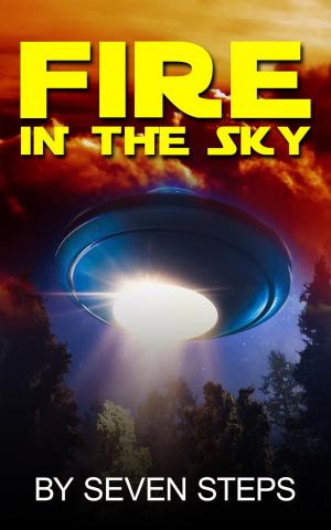 Cover of the book Fire in the Sky by Rob J Meijer