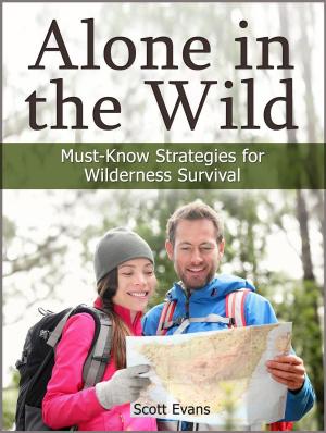 Book cover of Alone in the Wild: Must-Know Strategies for Wilderness Survival