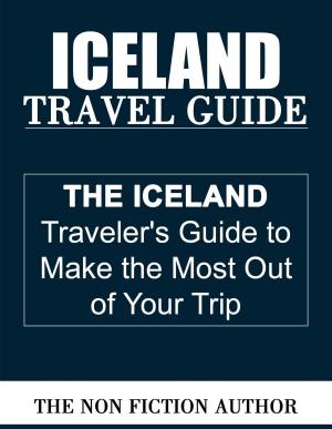 Book cover of Iceland Travel Guide