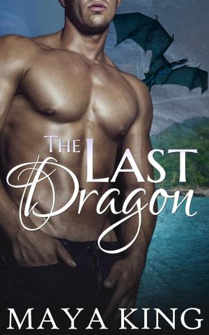Cover of the book The Last Dragon by Leslea Tash