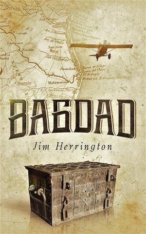 Cover of the book Bagdad by john Mc Donald