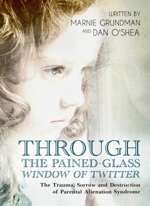 Book cover of Through the Pained-Glass Window of Twitter