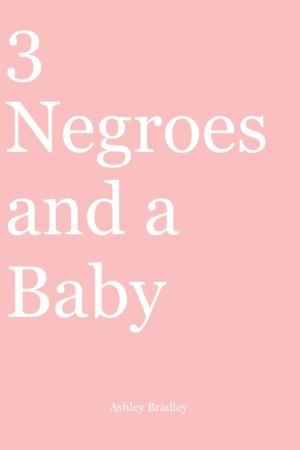 Cover of the book 3 Negroes and a Baby by Ashley Bradley