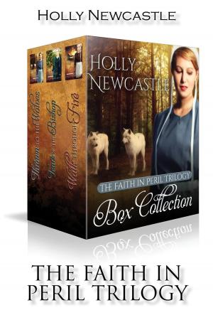 bigCover of the book The Faith in Peril Trilogy Box Collection by 