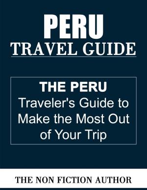 Cover of the book Peru Travel Guide by José Antônio Rodrigues