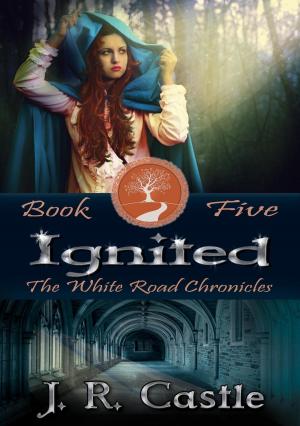 Cover of the book Ignited by Jackie Castle, J. R. Castle