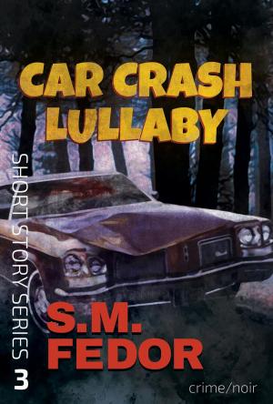 Cover of the book Car Crash Lullaby by Carl Purdon