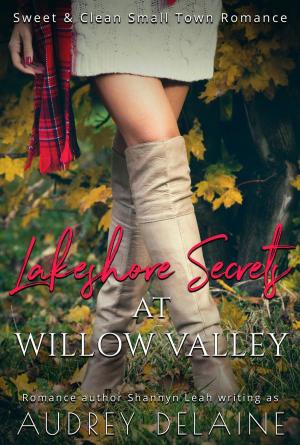 Cover of the book Lakeshore Secrets at Willow Valley by Jennifer Seasons