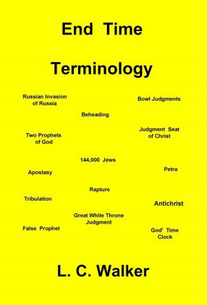 Cover of the book End Time Terminology by J. S. Helios