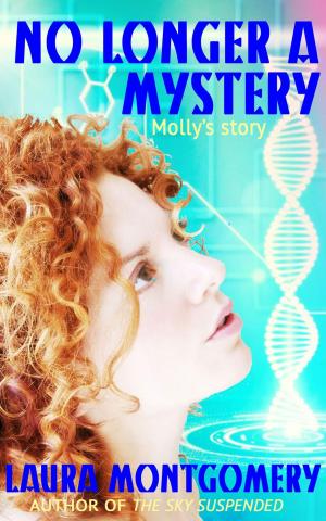 Book cover of No Longer A Mystery