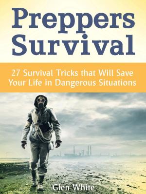 Book cover of Preppers Survival: 27 Survival Tricks that Will Save Your Life in Dangerous Situations