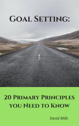 Book cover of Goal Setting: 20 Primary Principles you Need to Know