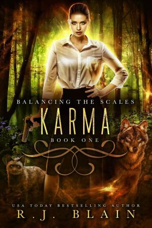 Cover of the book Karma by RJ Blain