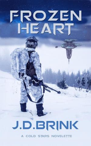 Cover of the book Frozen Heart by J. D. Brink