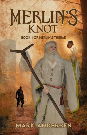 Cover of the book Merlin's Knot by Megan Mitcham