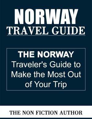 Cover of the book Norway Travel Guide by Antonio Gálvez Alcaide