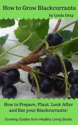 Cover of the book How to Grow Blackcurrants by Linda Gray