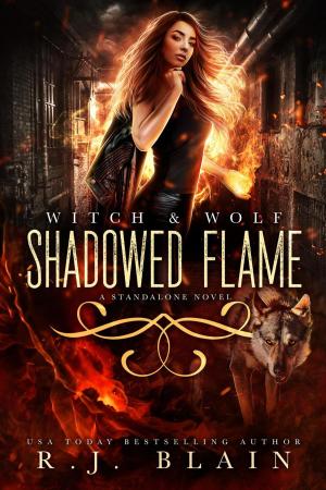 Cover of the book Shadowed Flame by Susan Copperfield