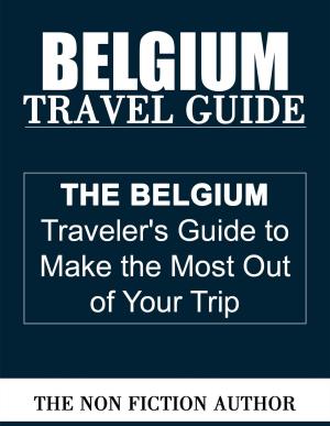 Cover of Belgium Travel Guide by The Non Fiction Author, The Non Fiction Author