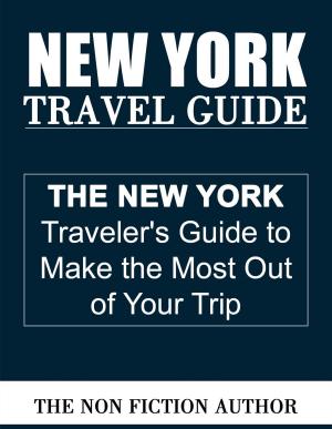Cover of the book New York Travel Guide by Antonio Gálvez Alcaide
