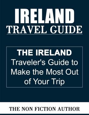Cover of the book Ireland Travel Guide by Antonio Gálvez Alcaide