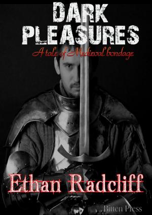 Cover of the book Dark Pleasures by Suzzana C Ryan