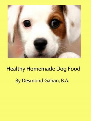 Cover of the book Healthy Homemade Dog Food by J. R. Miller, D.D.