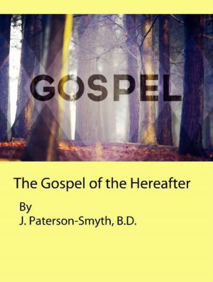 Cover of the book The Gospel of the Hereafter by John Gahan, LCGI