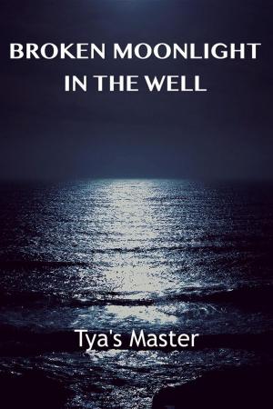 Cover of the book Broken Moonlight in the Well by Steven Holt