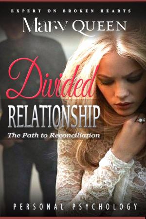 Cover of the book Divided Relationships by Jennifer Faris