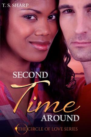Cover of the book Second Time Around by Kristi Ayers