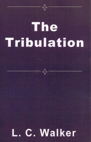 Cover of the book The Tribulation by Lucia Tommasi