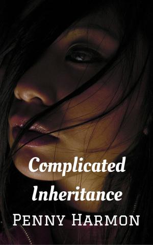 Cover of the book Complicated Inheritance by Ana J. Phoenix
