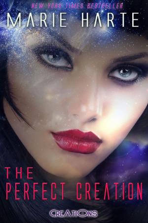 bigCover of the book The Perfect Creation by 