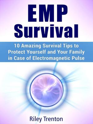 bigCover of the book EMP Survival: 10 Amazing Survival Tips to Protect Yourself and Your Family in Case of Electromagnetic Pulse by 