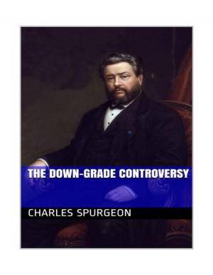 Cover of the book The Down Grade Controversy by D A Latham
