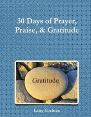 Cover of the book 30 Days of Prayer Praise & Gratitude by Vince Stead