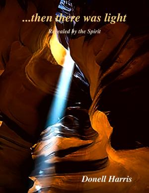 Cover of the book Then There Was Light - Revealed By the Spirit by Raymond Pistachio