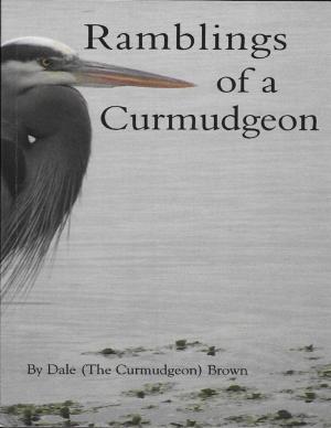Cover of the book Ramblings of a Curmudgeon by Dr. Zahra Rahnavard