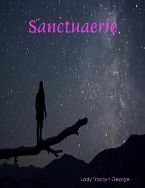 Cover of the book Sanctuaerie by Y.X Song