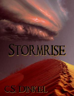 Cover of the book Stormrise by Erica Törnqvist