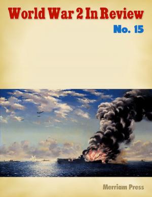 Book cover of World War 2 In Review No. 15