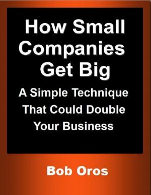 Cover of the book How Small Companies Get Big: A Simple Technique That Could Double Your Business by Daffyd C. Landegge